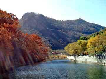 正新澳门二四六天天彩，平陆野猪